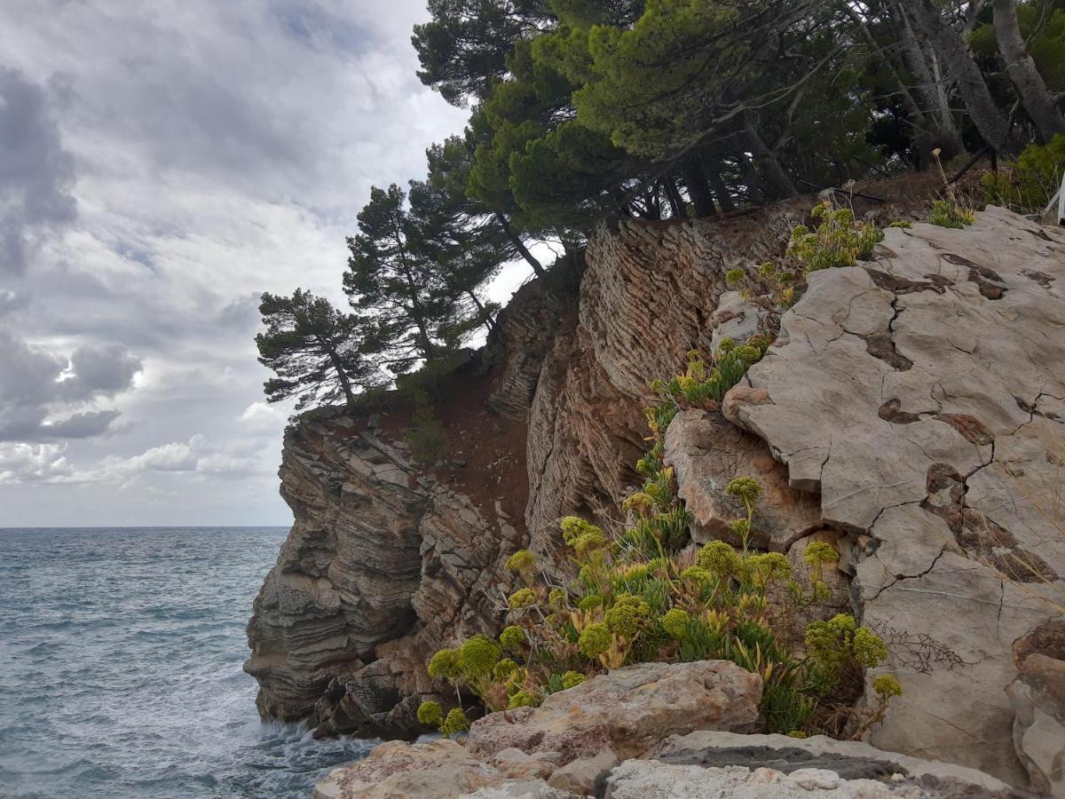 Sea-Side Old Stone Villa With A Private Garden Budva Bagian luar foto