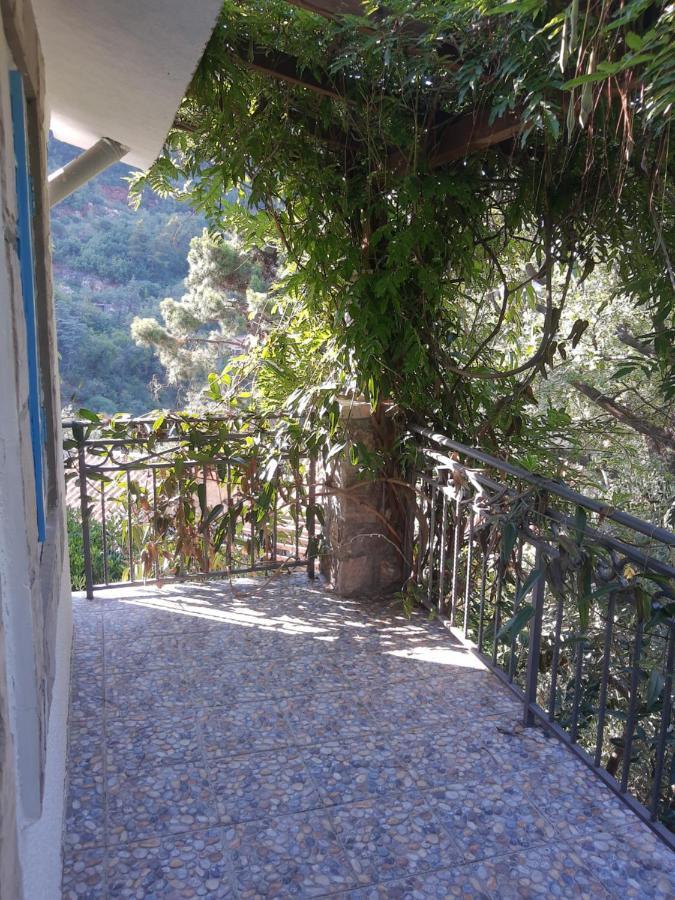 Sea-Side Old Stone Villa With A Private Garden Budva Bagian luar foto