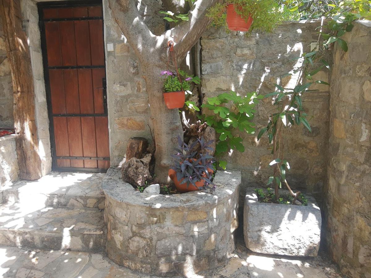 Sea-Side Old Stone Villa With A Private Garden Budva Bagian luar foto