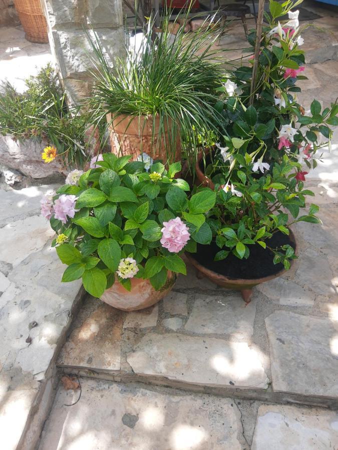 Sea-Side Old Stone Villa With A Private Garden Budva Bagian luar foto