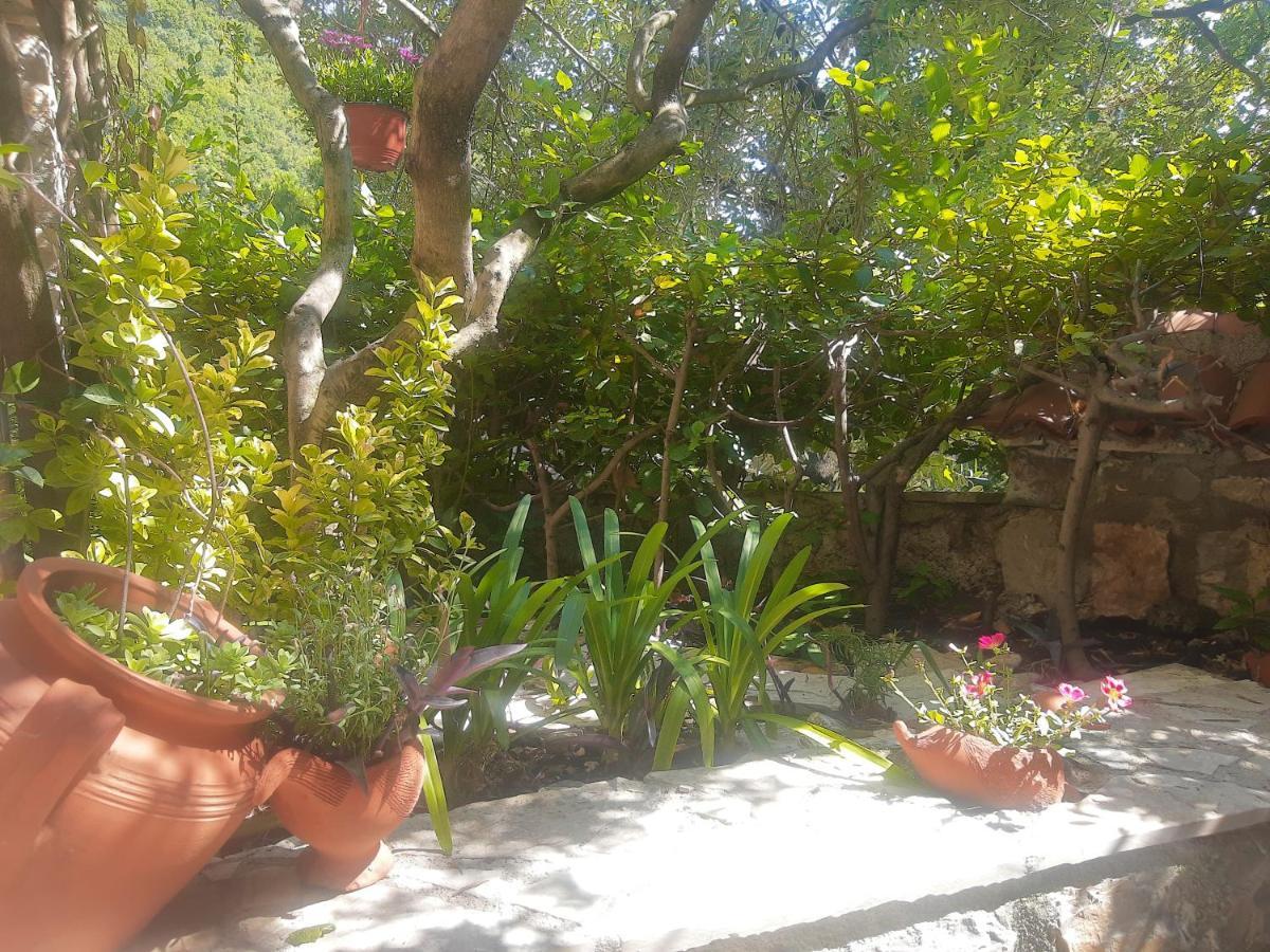 Sea-Side Old Stone Villa With A Private Garden Budva Bagian luar foto