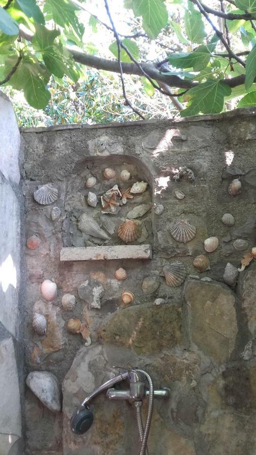 Sea-Side Old Stone Villa With A Private Garden Budva Bagian luar foto